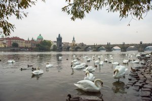 One of the loveliest views I encountered in this very lovely city.