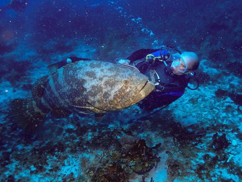 61074035_10216540054127587_811697171962265600_o