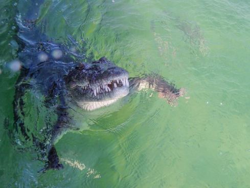 61187655_10216540053407569_64391764609335296_o