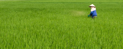 MSC-D810-Vietnam-Apr2017-7337