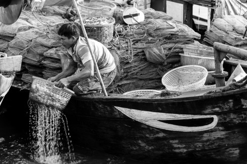 MSC-D810-VietNam-Apr2017-7955