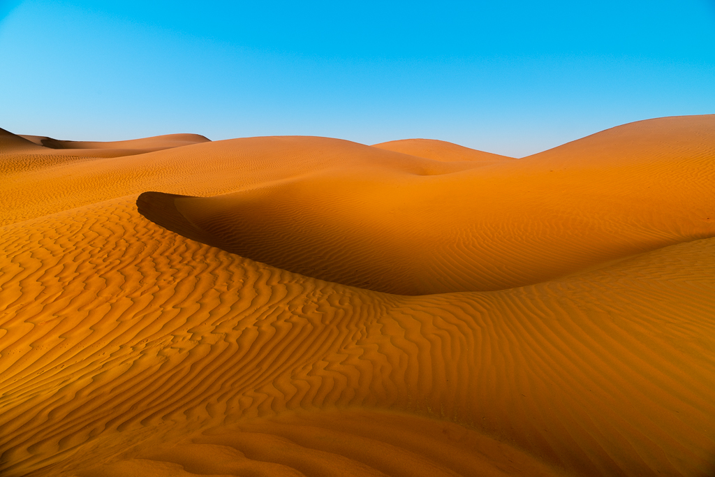 MSC-D850-Oman-Oct2018-2991