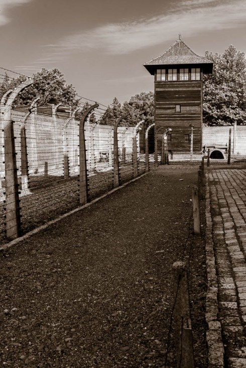 MSC-D850-Poland-June2019-9323