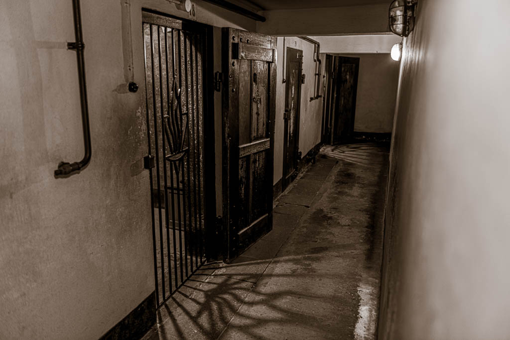 MSC-D850-Poland-June2019-9353