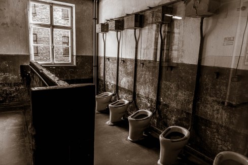 MSC-D850-Poland-June2019-9362