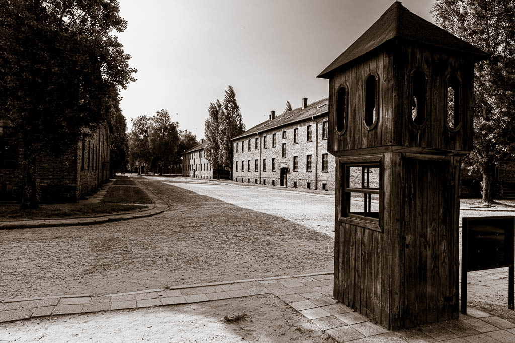 MSC-D850-Poland-June2019-9366