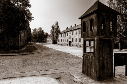 MSC-D850-Poland-June2019-9366