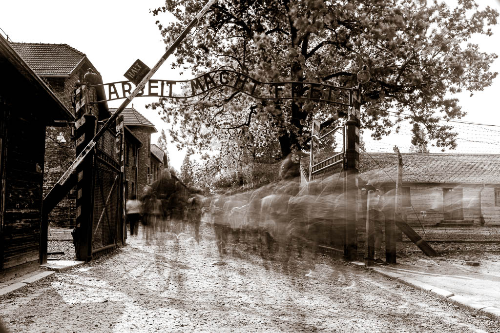 MSC-D850-Poland-June2019-9387