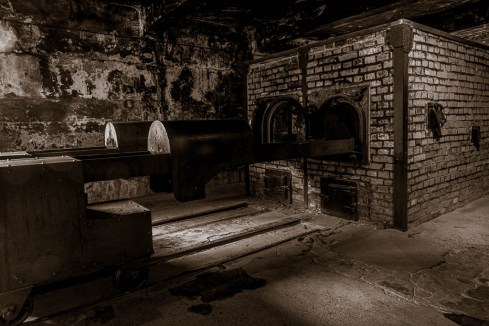 MSC-D850-Poland-June2019-9409