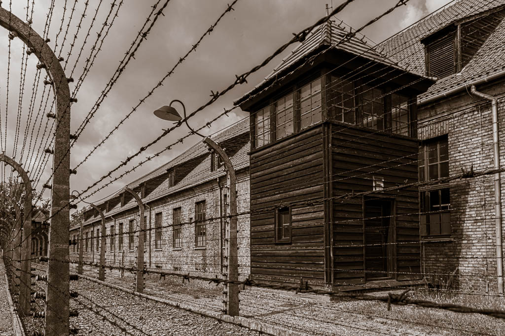 MSC-D850-Poland-June2019-9448