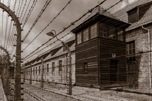 MSC-D850-Poland-June2019-9448