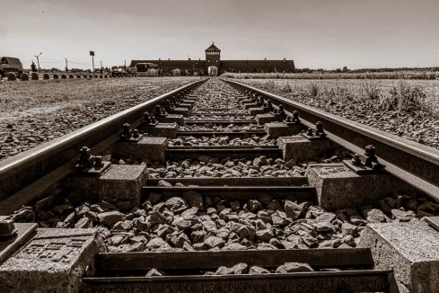 MSC-D850-Poland-June2019-9461