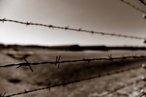 MSC-D850-Poland-June2019-9472