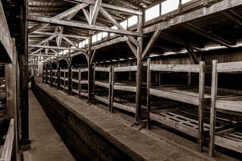 MSC-D850-Poland-June2019-9493