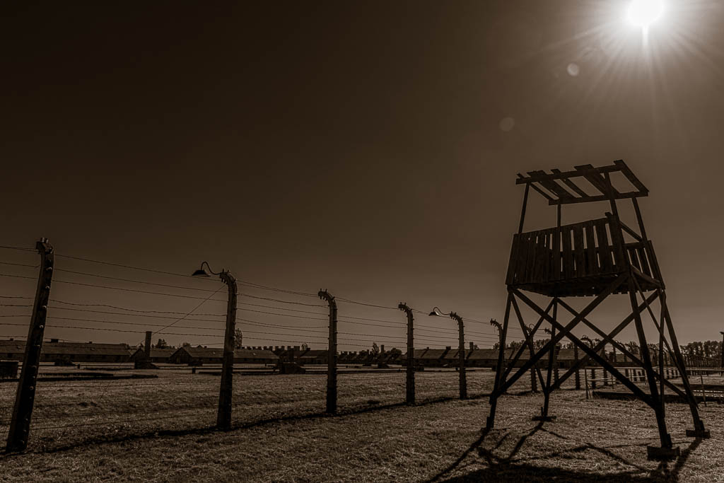 MSC-D850-Poland-June2019-9506