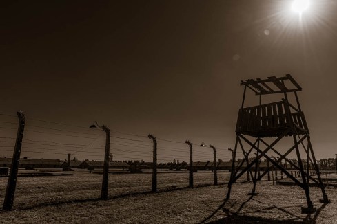 MSC-D850-Poland-June2019-9506