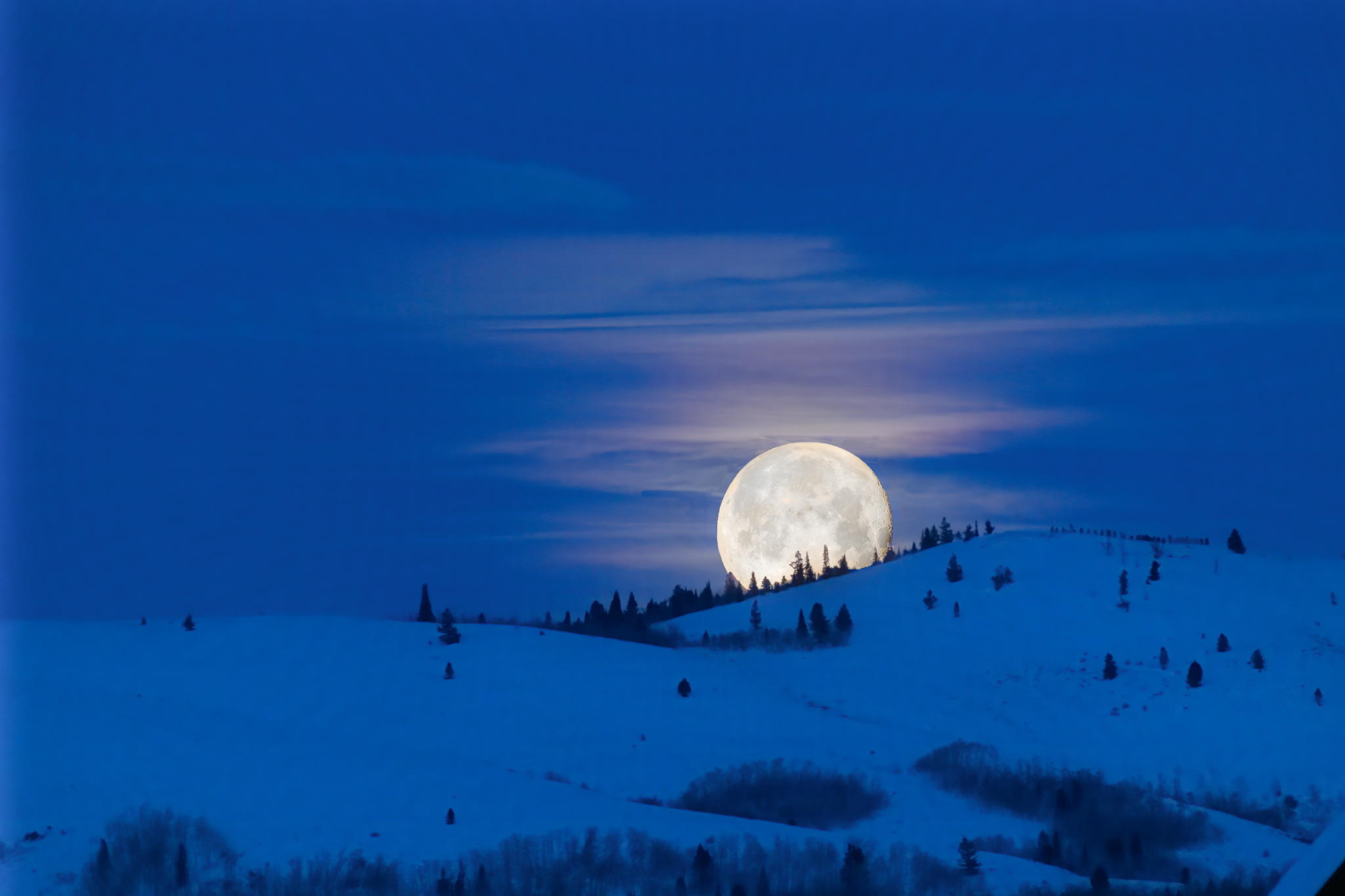 MSC-D850-JH-Jan2019-2373-Edit-Edit